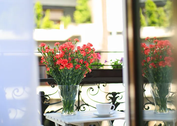 Hotel Amber Boutique - Amber Design