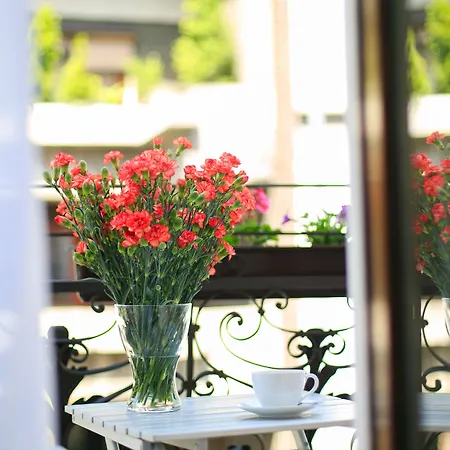 Hotel Amber Boutique - Amber Design