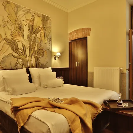 Hotel Amber Boutique - Amber Design